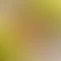 unsweetened applesauce