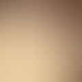 parchment paper