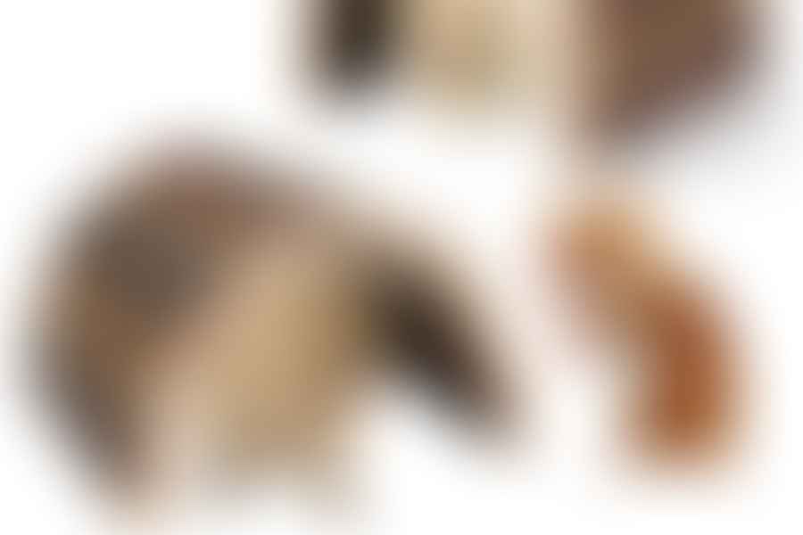 hamster chew toys