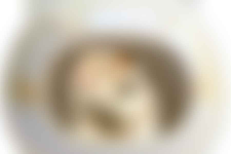 hamster nesting area cage