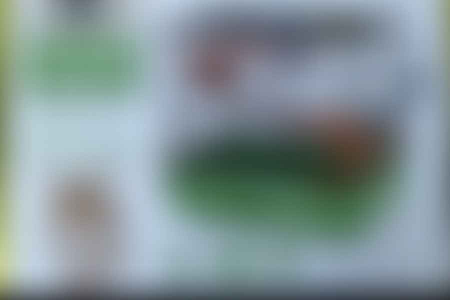 Multi-floor hamster cage with secure latches