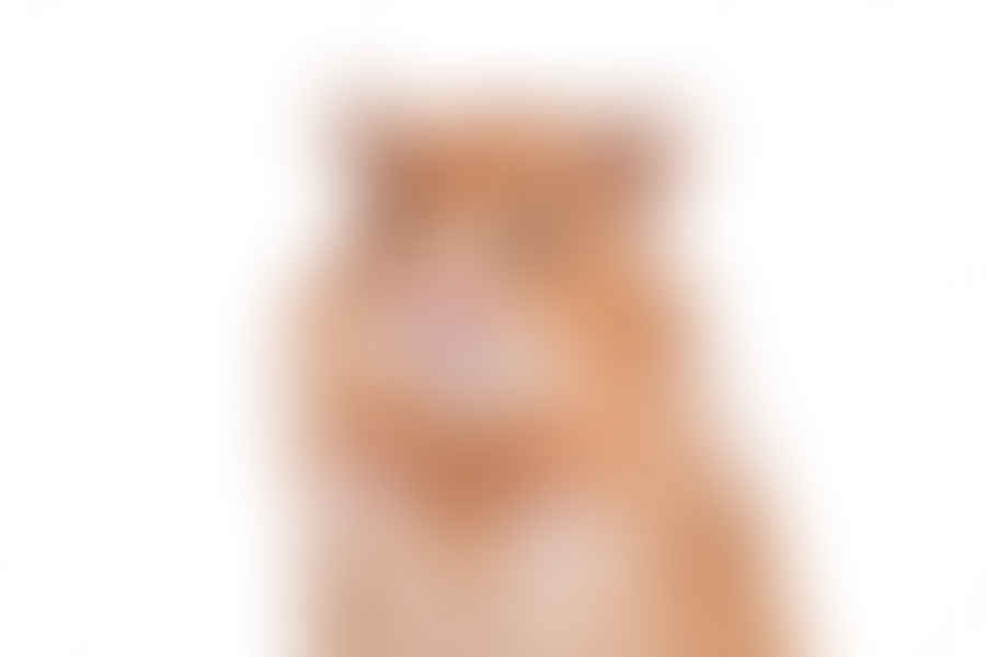 hamster standing up