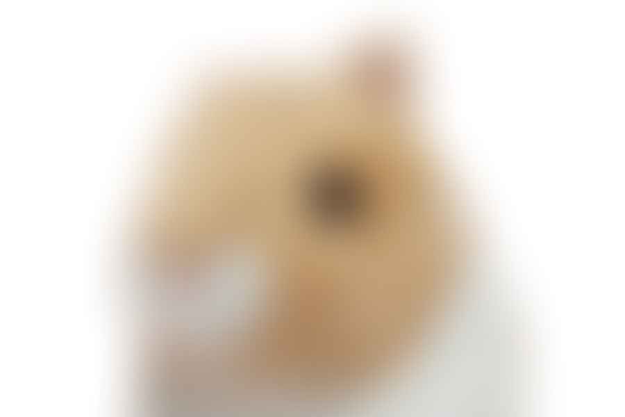 hamster safe stuffed animals