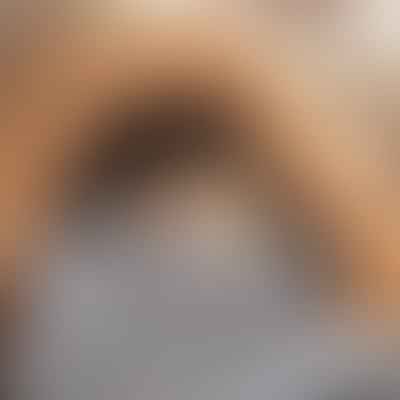 Not Just Any Old Bedding: Choosing the Best Hamster Bedding for Comfort and Hygiene