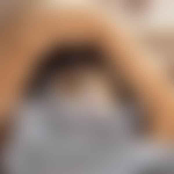 Not Just Any Old Bedding: Choosing the Best Hamster Bedding for Comfort and Hygiene