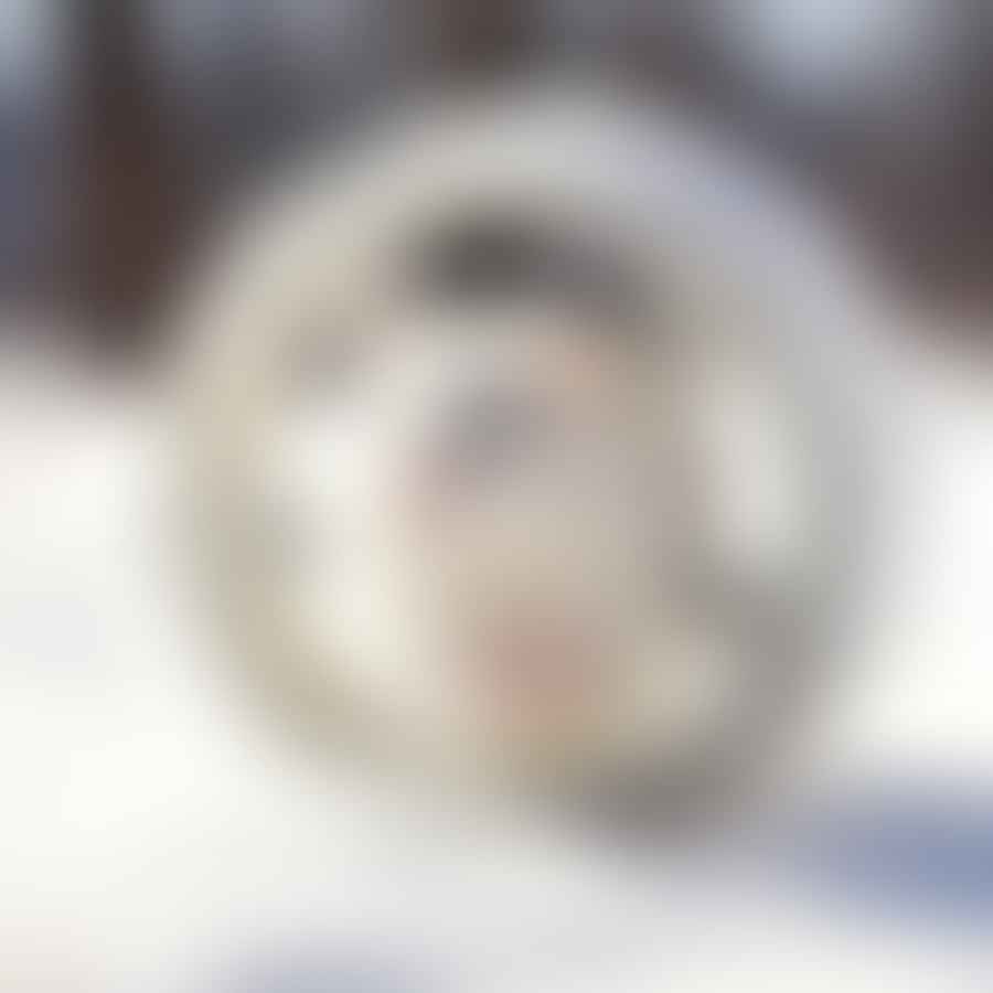 Winter white hamster running on a perfectly sized wheel