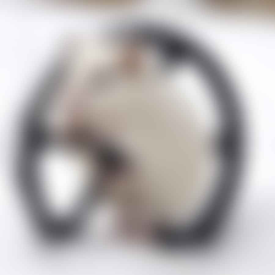 Winter white hamster running on a perfectly sized wheel