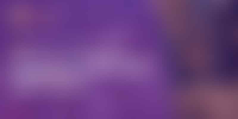 Discover the Pros and Cons - 🐹 Dwarf Hamster Guide