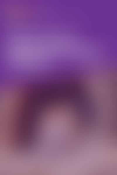 Unlocking the Mystery of a Hiding Hamster - 🔍 Solving the Hamster Hideout Mystery