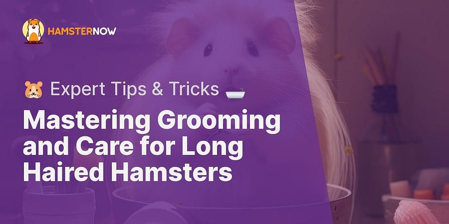 Mastering Grooming and Care for Long Haired Hamsters - πΉ Expert Tips & Tricks π