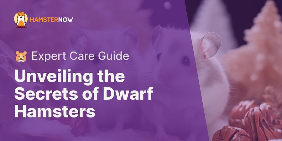 Unveiling the Secrets of Dwarf Hamsters - πΉ Expert Care Guide