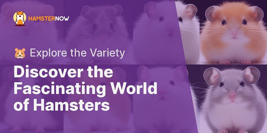 Discover the Fascinating World of Hamsters - πΉ Explore the Variety