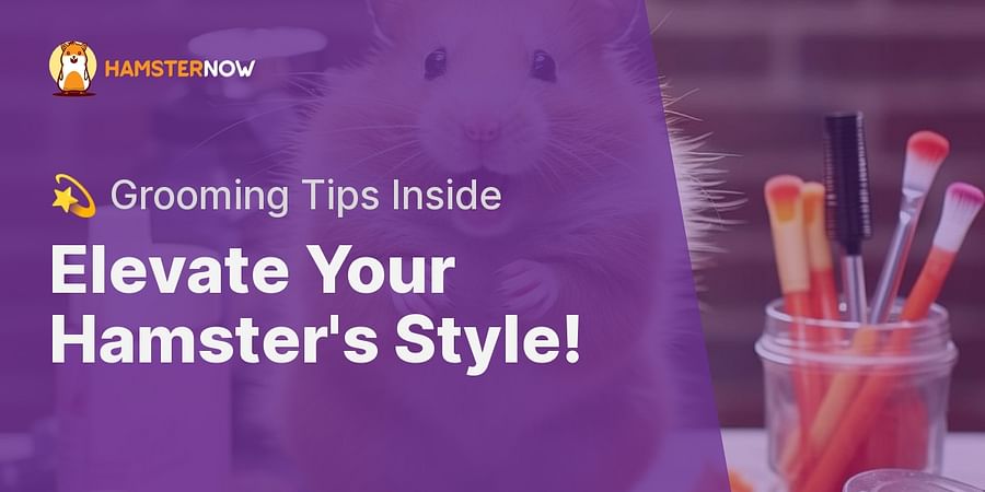 Elevate Your Hamster's Style! - 💫 Grooming Tips Inside