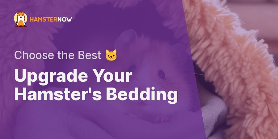 Upgrade Your Hamster's Bedding - Choose the Best π±