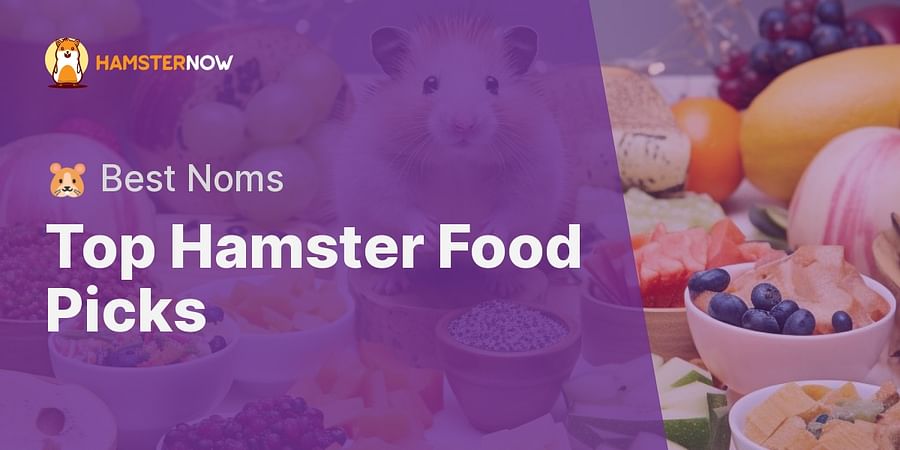 Top Hamster Food Picks - πΉ Best Noms