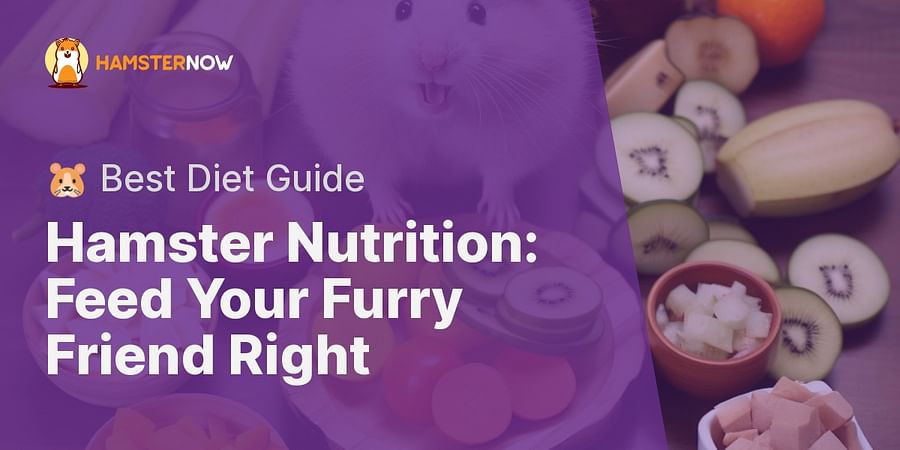 Hamster Nutrition: Feed Your Furry Friend Right - πΉ Best Diet Guide