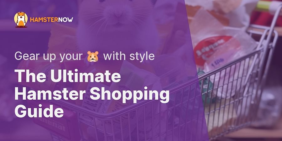 The Ultimate Hamster Shopping Guide - Gear up your πΉ with style