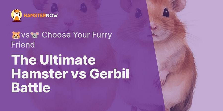The Ultimate Hamster vs Gerbil Battle - πΉvsπ Choose Your Furry Friend
