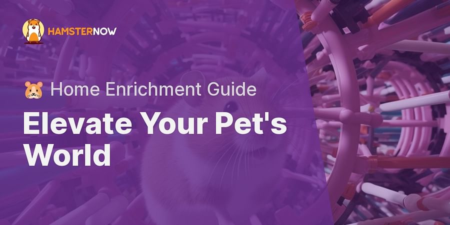 Elevate Your Pet's World - πΉ Home Enrichment Guide