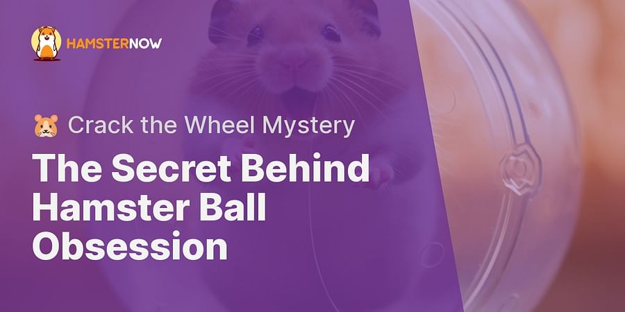 The Secret Behind Hamster Ball Obsession - ๐น Crack the Wheel Mystery