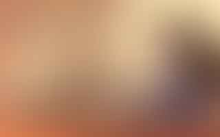 On average, how much time does it take per day to care for a hamster?