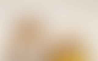 Should I choose a Syrian or Dwarf hamster as a pet?