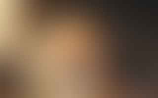 What are some common signs of illness in hamsters?