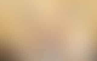 What breed is my hamster if its fur is light orange?