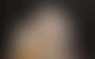 What is the lifespan of a Winter White Russian Dwarf Hamster?